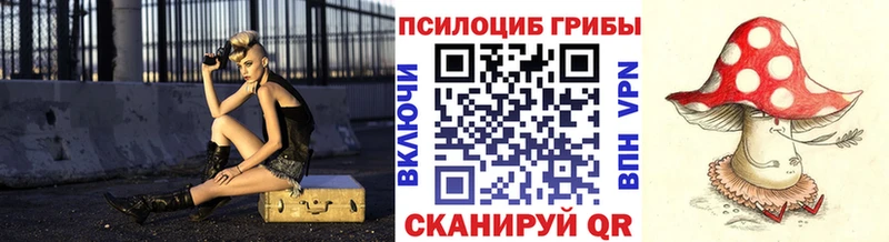 где купить наркоту  Нововоронеж  Галлюциногенные грибы мухоморы 